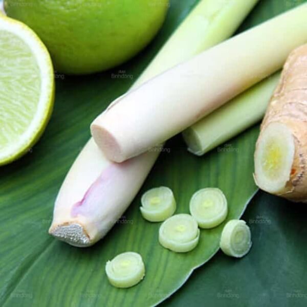 Cách khử mùi thức ăn trong phòng kín hiệu quả nhất 2_3