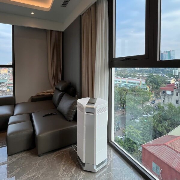 Cách xử lý lông mèo trong nhà để bảo vệ sức khỏe bà bầu 2_4