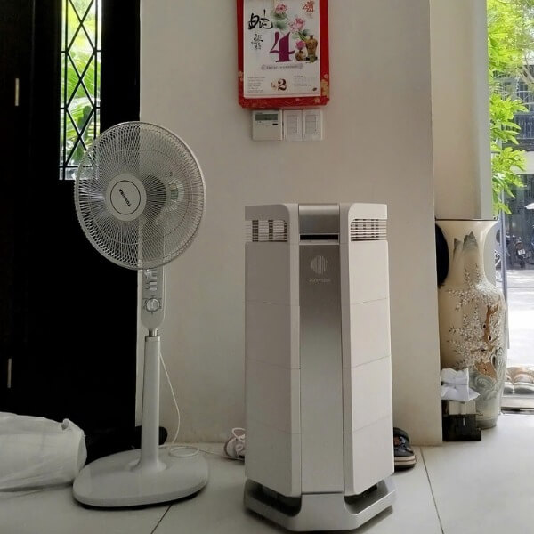 Sử dụng máy lọc không khí để xử lý lông mèo trong nhà_4