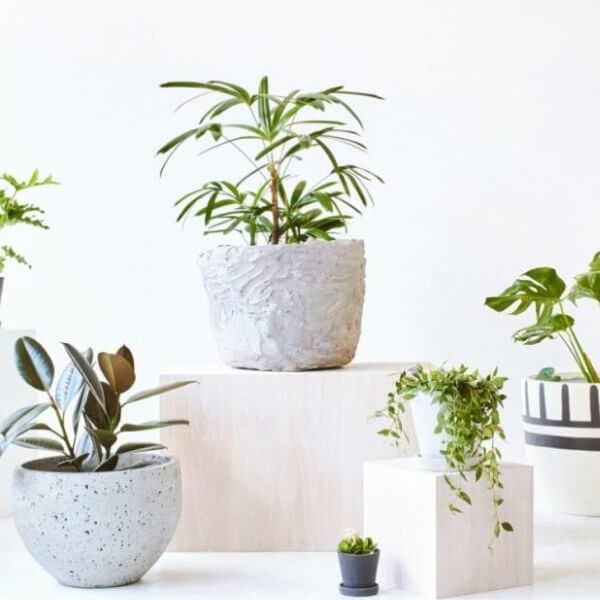 Top 10 món quà tặng sếp nữ không nên bỏ qua 3_4