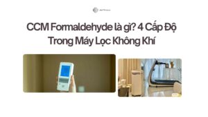 CCM Formaldehyde là gì 4 Cấp Độ Trong Máy Lọc Không Khí