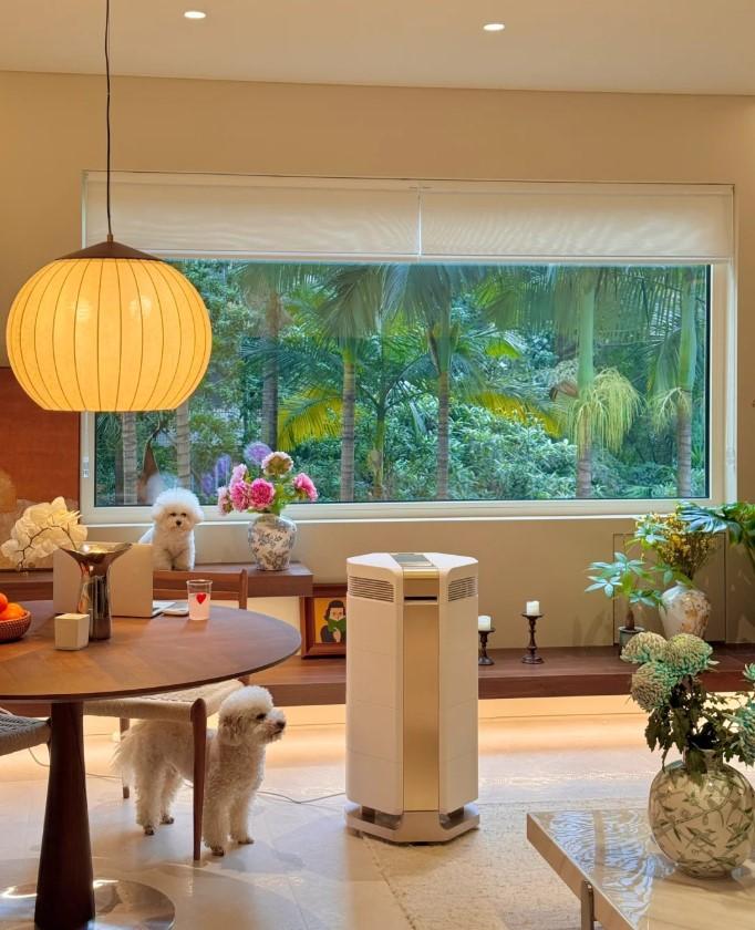 Máy lọc không khí AirProce AI-700, lọc formaldehyde 