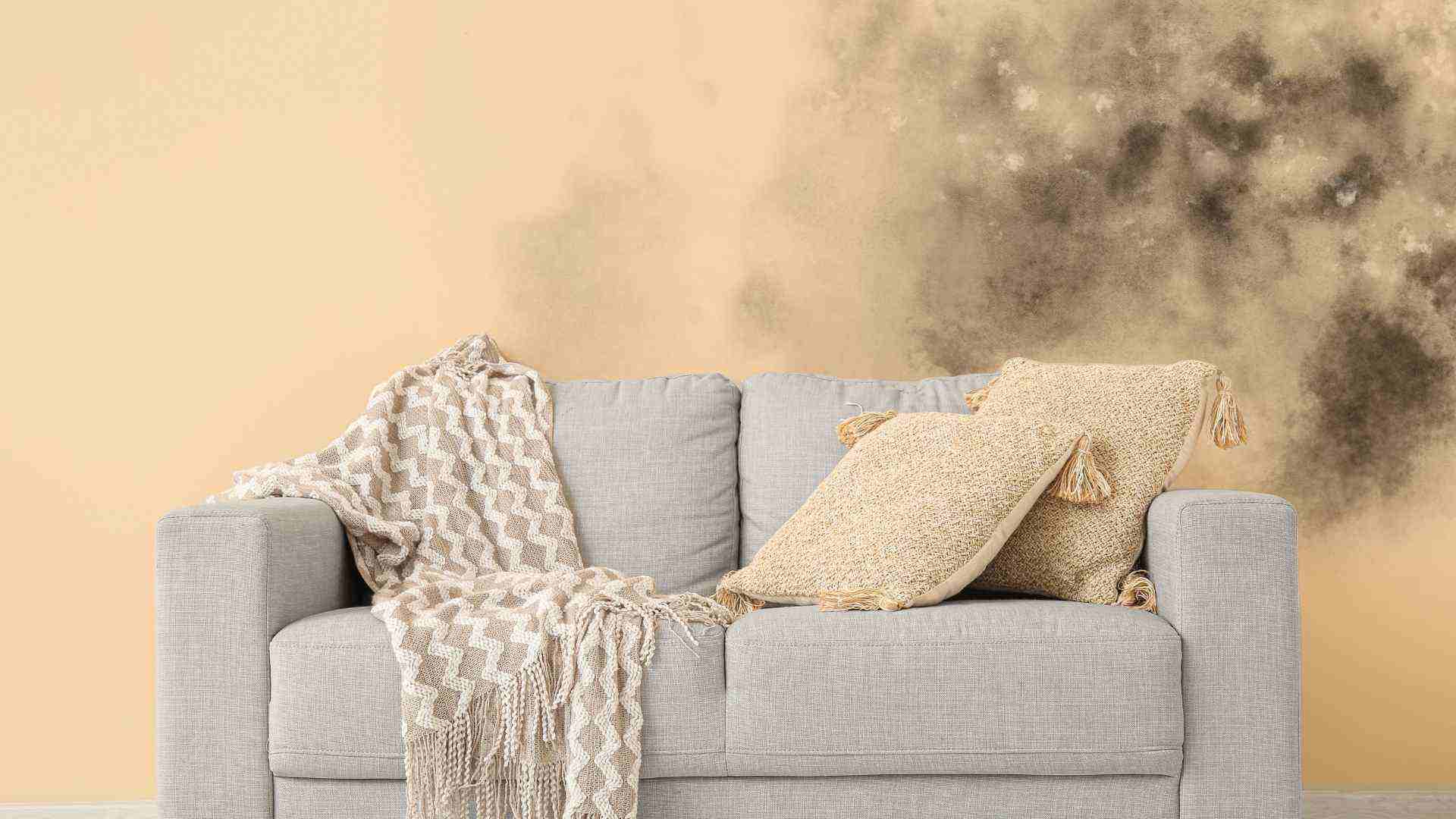 bụi mịn, nấm mốc trong nhà là nguồn cơn của vi khuẩn và khí độc