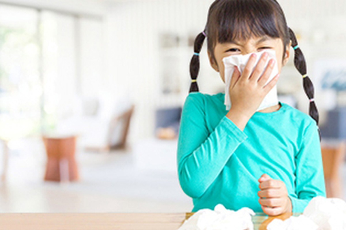 Tác hại của formaldehyde từ gỗ ép
