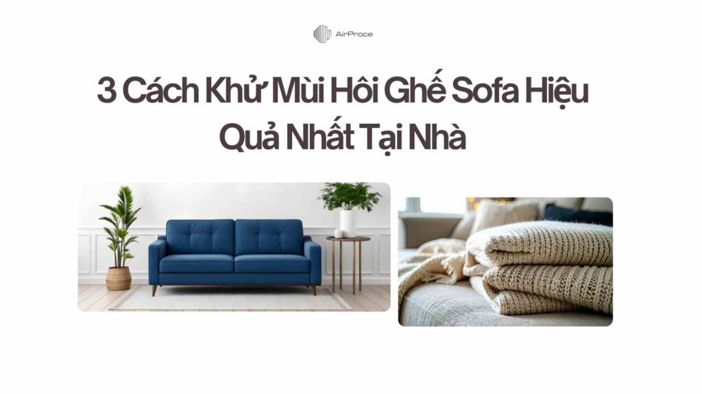 3 Cách Khử Mùi Hôi Ghế Sofa Hiệu Quả Nhất Tại Nhà