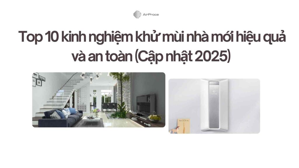 Top 10 kinh nghiệm khử mùi nhà mới hiệu quả và an toàn (Cập nhật 2025) 1 Top 10 kinh nghiệm khử mùi nhà mới hiệu quả và an toàn (Cập nhật 2025)