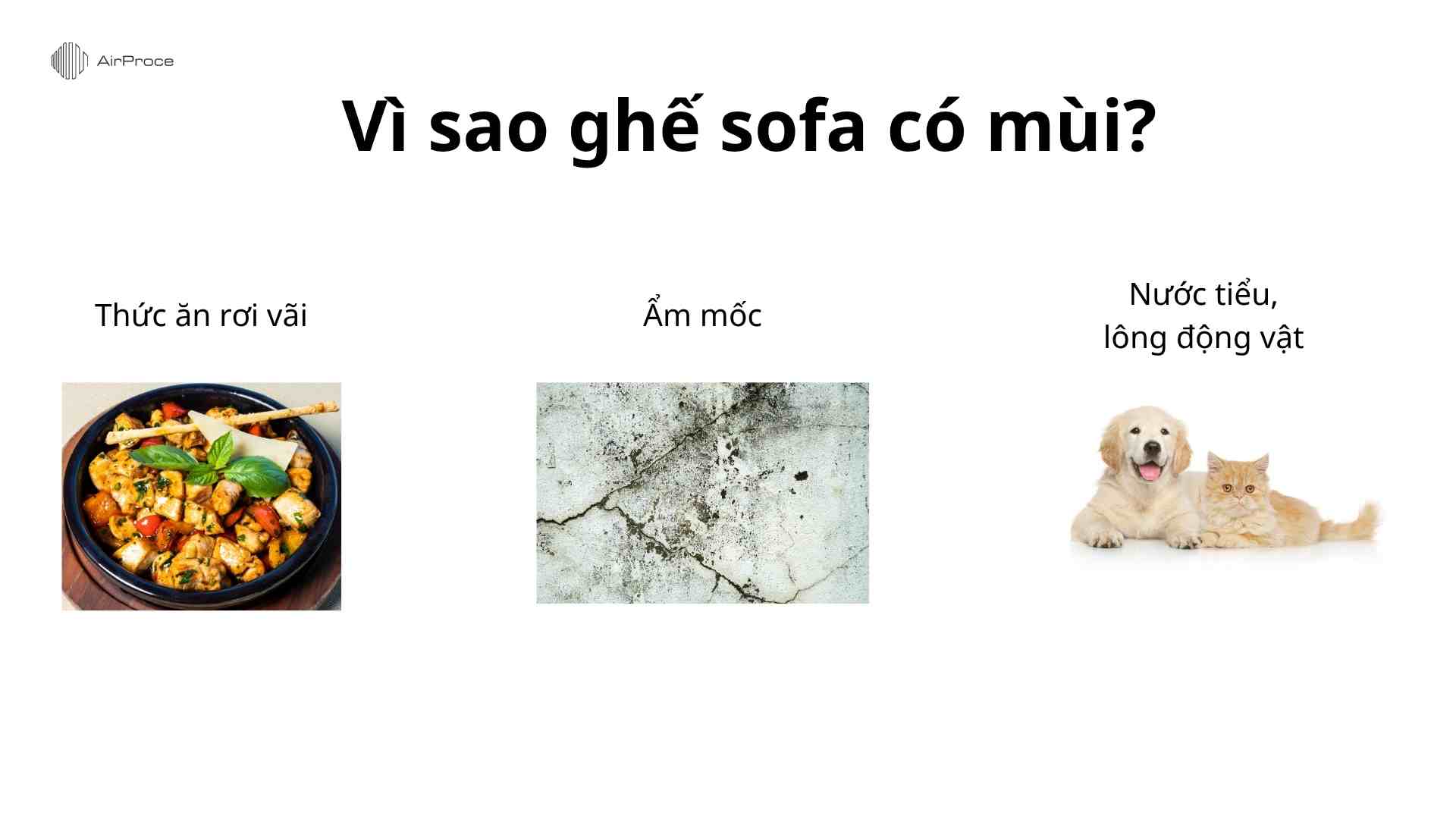 Vì sao ghế sofa có mùi