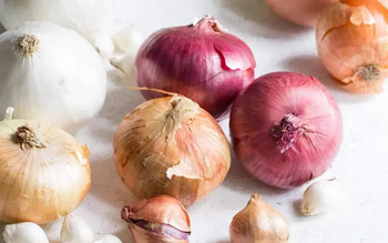 Top 10 kinh nghiệm khử mùi nhà mới hiệu quả và an toàn (Cập nhật 2025) 3 Hành tây hoặc tỏi có khả năng hấp thụ mùi sơn nhà mới