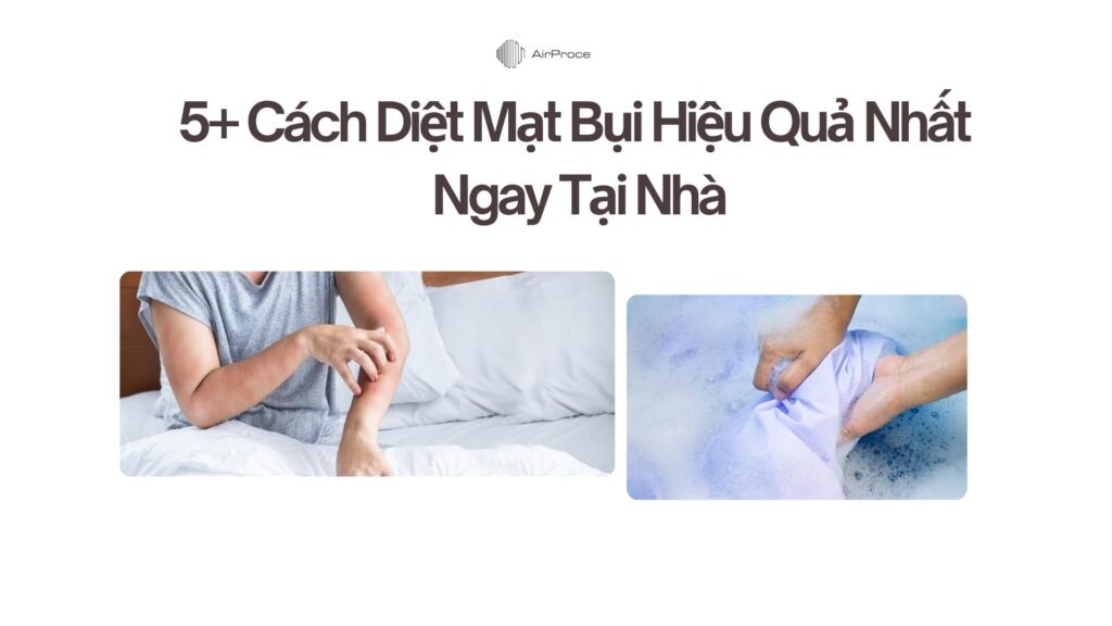 5+ Cách Diệt Con Mạt Bụi Nhà Hiệu Quả Nhất 1