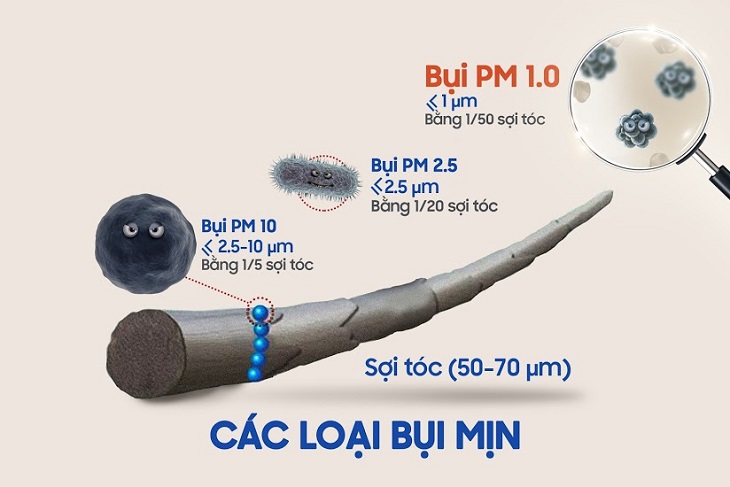 Bụi mịn là gì? Phân loại PM10 – PM2.5 – PM1.0 – PM0.3