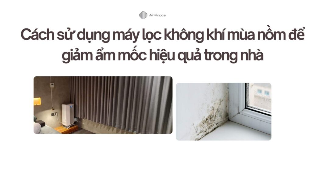 Cách sử dụng máy lọc không khí mùa nồm để giảm ẩm mốc hiệu quả trong nhà