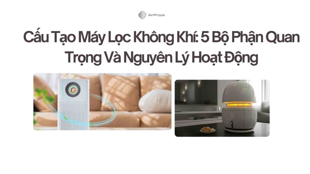 Cấu Tạo Máy Lọc Không Khí 5 Bộ Phận Quan Trọng Và Nguyên Lý Hoạt Động