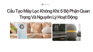 Cấu Tạo Máy Lọc Không Khí 5 Bộ Phận Quan Trọng Và Nguyên Lý Hoạt Động