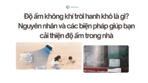 Độ ẩm không khí trời hanh khô là gì Nguyên nhân và các biện pháp giúp bạn cải thiện độ ẩm trong nhà
