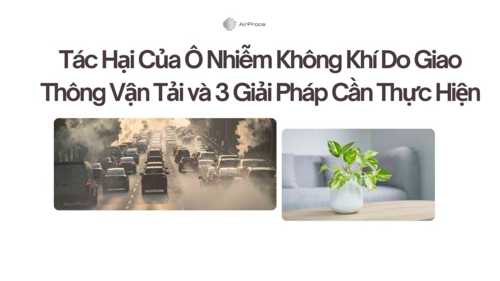Tác Hại Của Ô Nhiễm Không Khí Do Giao Thông Vận Tải và 4 Giải Pháp Cần Thực Hiện 1 Tác Hại Của Ô Nhiễm Không Khí Do Giao Thông Vận Tải và 3 Giải Pháp Cần Thực Hiện