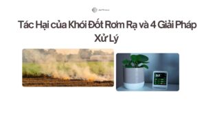 Tác Hại của Khói Đốt Rơm Rạ và 4 Giải Pháp Xử Lý
