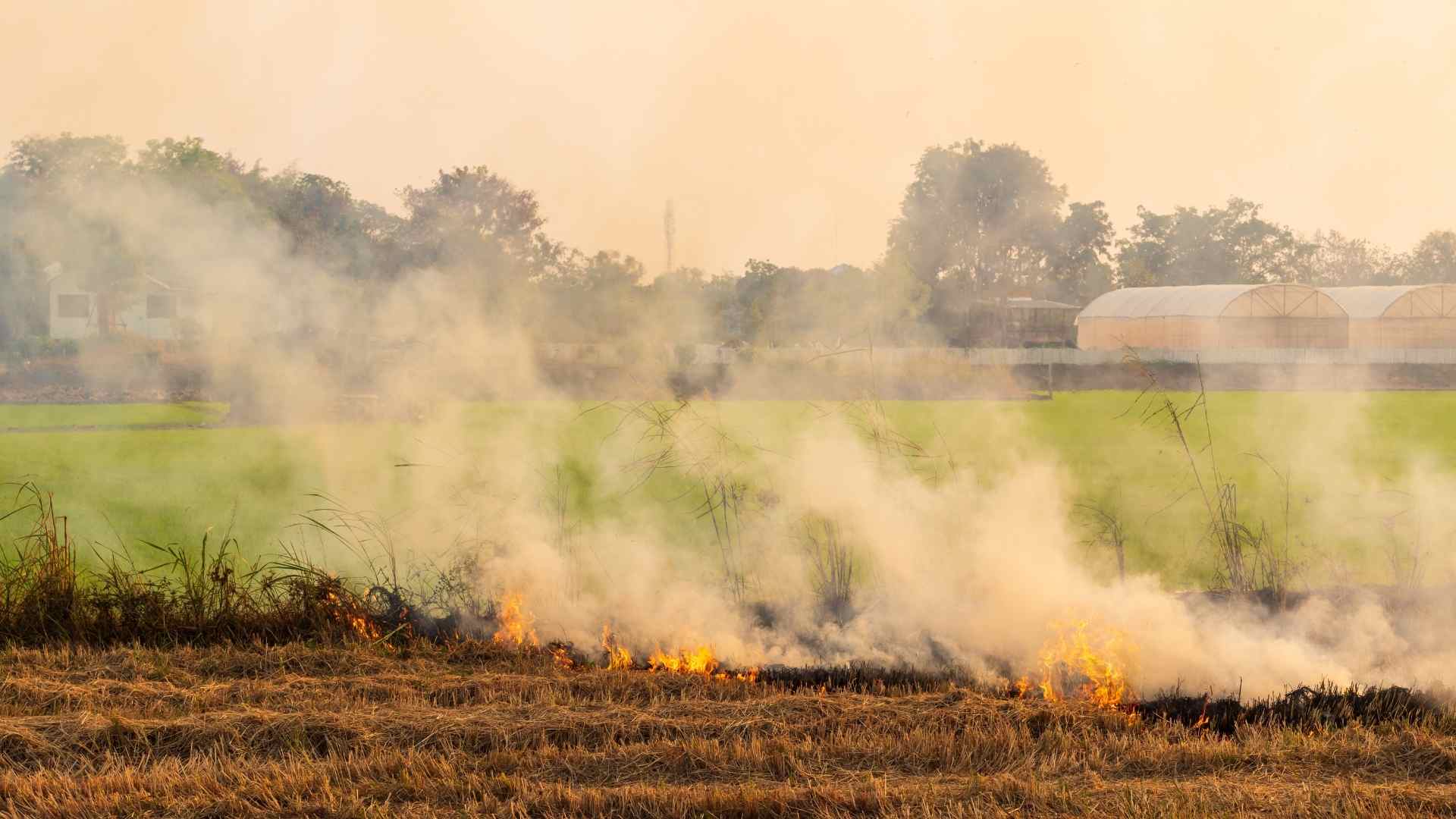 Tác hại của khói đốt rơm rạ đến sức khoẻ