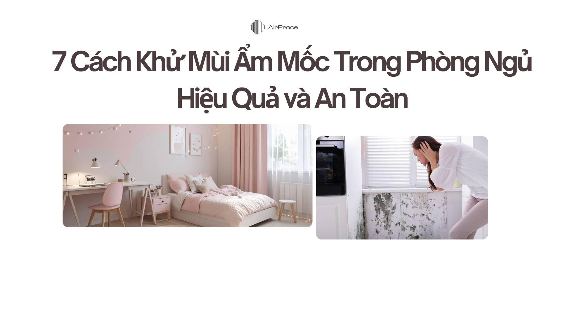7 Cách Khử Mùi Ẩm Mốc Trong Phòng Ngủ Hiệu Quả và An Toàn