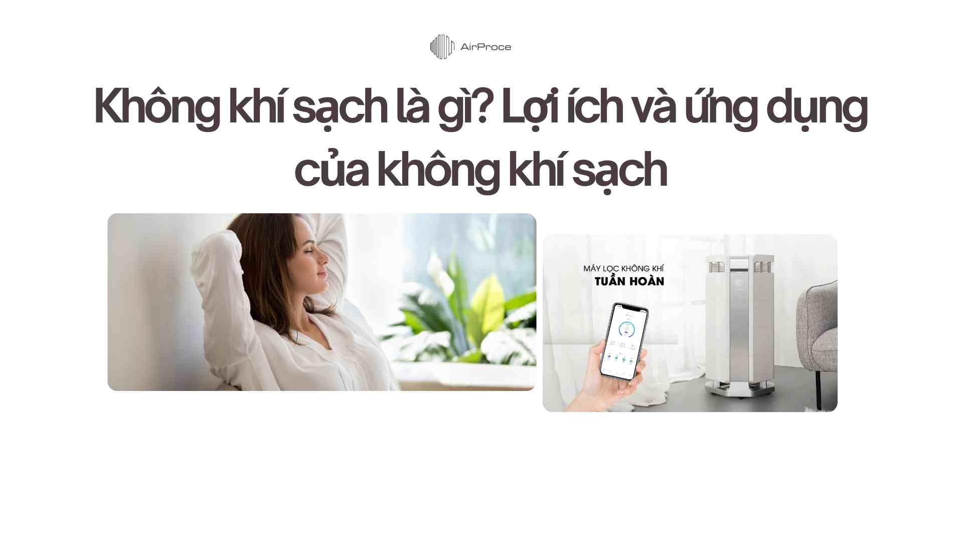 Không khí sạch là gì Lợi ích và ứng dụng của không khí sạch
