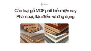 Các loại gỗ MDF phổ biến hiện nay Phân loại, đặc điểm và ứng dụng