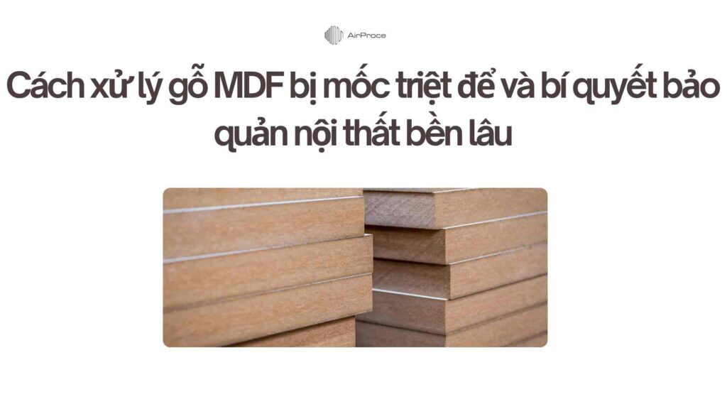 Cách xử lý gỗ MDF bị mốc triệt để và bí quyết bảo quản nội thất bền lâu