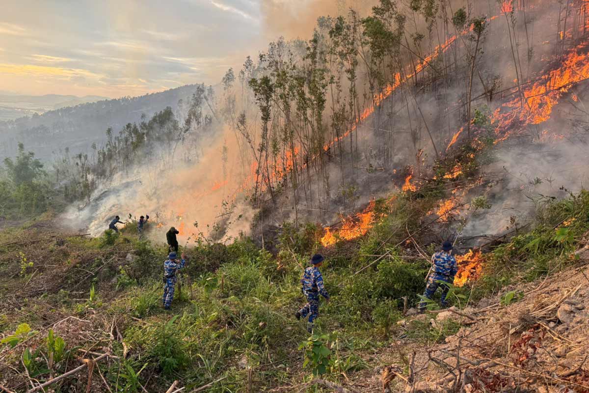 Các nguồn gây ô nhiễm không khí và giải pháp bảo vệ sức khỏe gia đình toàn diện 2 Cháy rừng là một trong các nguồn gây ô nhiễm không khí
