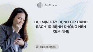 Bụi mịn gây bệnh gì? Danh sách 10 bệnh không nên xem nhẹ 1