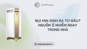 bui-min-sinh-ra-tu-dau