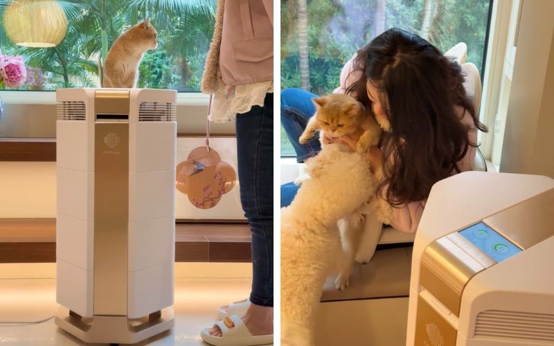 Bụi mịn sinh ra từ đâu? Nguồn ô nhiễm ngay trong nhà 4 Sử dụng máy lọc không khí chất lượng cao