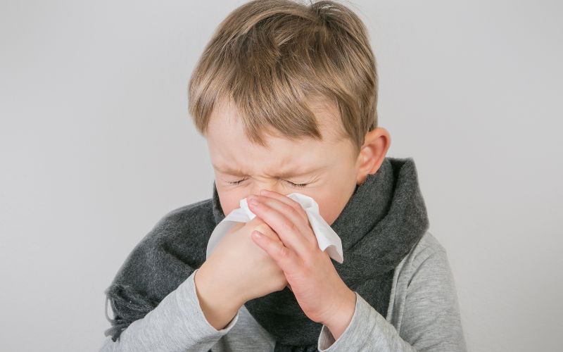 Hay hắt hơi, ngứa mũi, cay mắt khi ở trong nhà