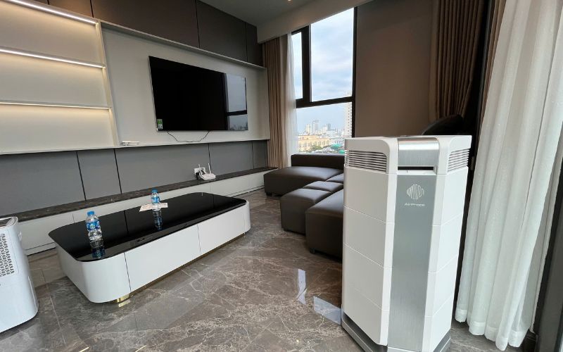 Cấu tạo bộ lọc xử lý mùi sơn từ gốc