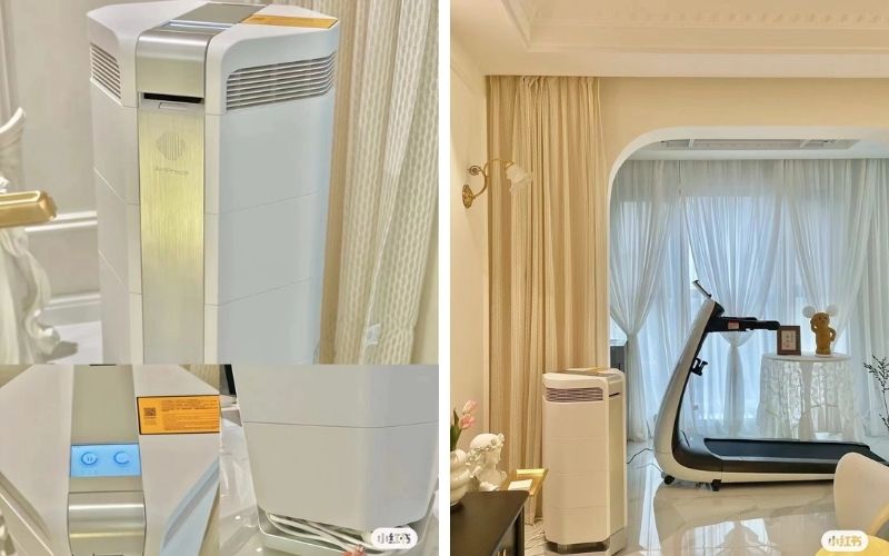 Khử mùi sơn nhà mới bằng dứa: Ưu nhược điểm cần biết 6 Dùng máy lọc không khí hoặc máy cấp khí tươi