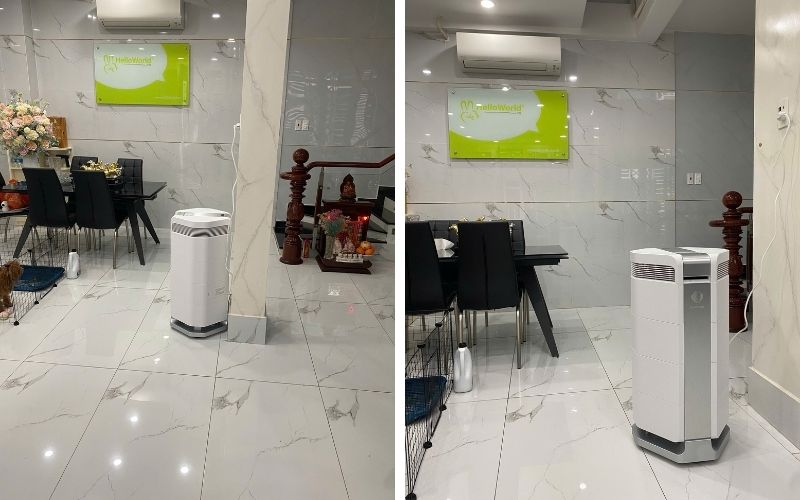 Mùi sơn gỗ bao lâu thì hết? 05 cách làm bay mùi hiệu quả 7 máy lọc không khí có màng than hoạt tính