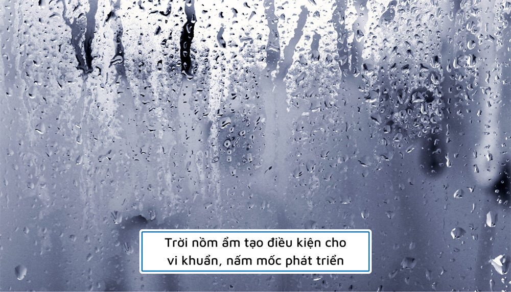Bệnh mùa nồm: các bệnh thường gặp và cách phòng tránh 2 Bệnh mùa nồm thường gặp