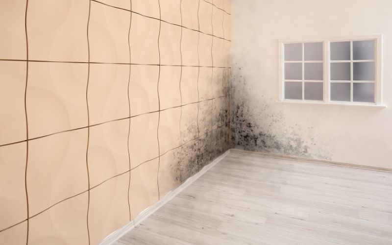 Những sai lầm khiến chống nồm trong nhà không hiệu quả