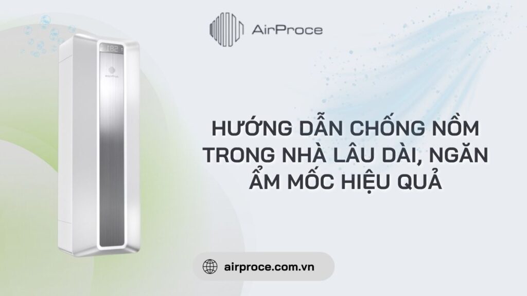 chống nồm trong nhà