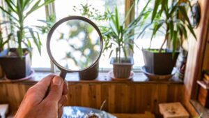 Không khí trong nhà có an toàn không? 5 rủi ro âm thầm cần biết