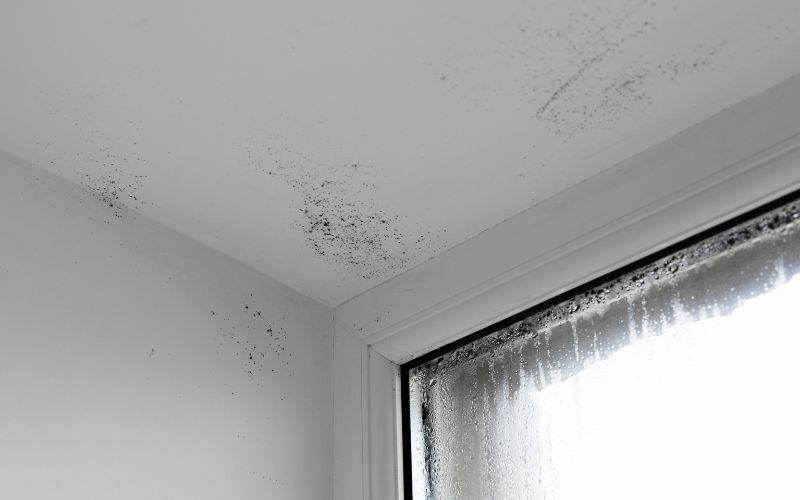 Nhà ẩm thấp phải làm sao?