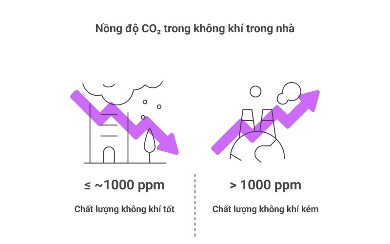 Tiêu chuẩn CO2 trong nhà theo quy định mới nhất 2026