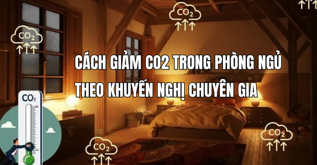 Cách giảm CO2 trong phòng ngủ theo khuyến nghị chuyên gia 1 Cách giảm CO2 trong phòng ngủ theo khuyến nghị chuyên gia