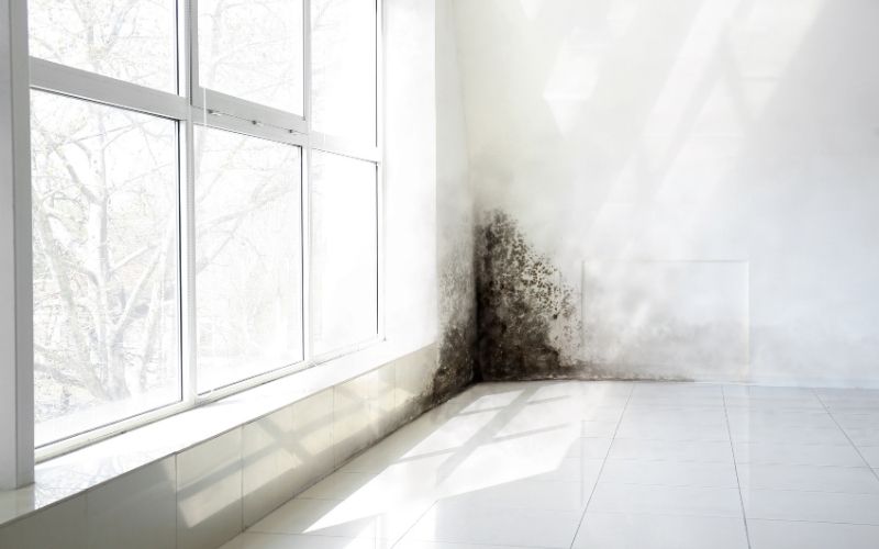 Top lợi ích của hệ thống lọc không khí trung tâm giúp nâng cao chất lượng sống 4 Hạn chế vi khuẩn và nấm mốc trong không khí