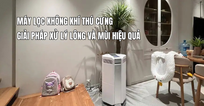 Máy lọc không khí thú cưng: Giải pháp xử lý lông và mùi hiệu quả 1 Máy lọc không khí thú cưng: Giải pháp xử lý lông và mùi hiệu quả
