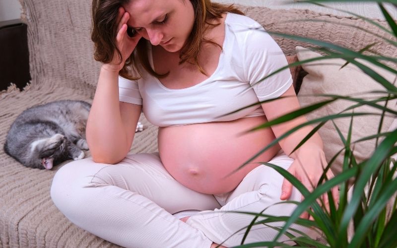 Bà bầu bị khó thở hụt hơi 3 tháng giữa có nguy hiểm không? 3 Tăng thể tích máu và nhu cầu oxy