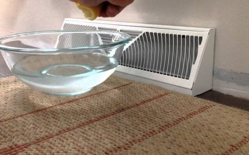 Đặt một chậu nước trong phòng