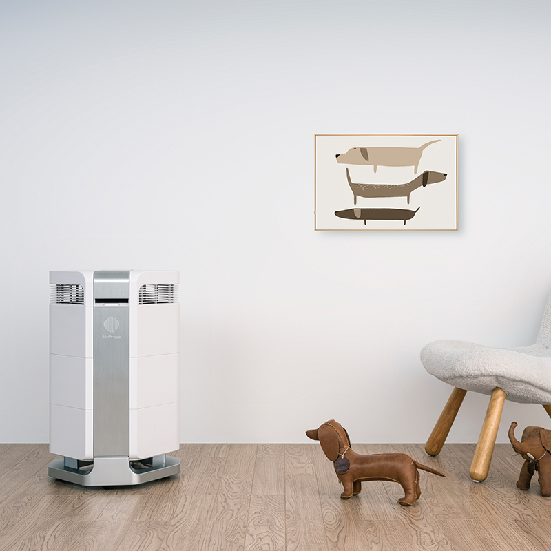 Máy lọc AI-300 - giải pháp giảm dị ứng ứng bụi hiệu quả bền vững