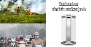 Ô nhiễm khói bụi có thể gây ra những bệnh gì?