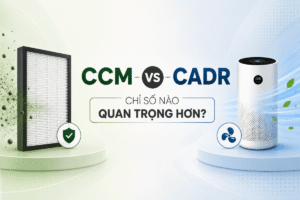 CCM chỉ số máy lọc không khí là gì