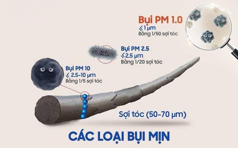 Máy lọc không khí cho văn phòng loại nào tốt? 7 tiêu chí doanh nghiệp cần biết 3 Hiệu quả lọc bụi mịn PM2.5